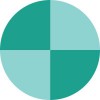 Survey Solutions