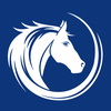 White Horse Surveyors