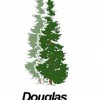 Douglas Land Surveys