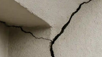 Specific Defect Survey
