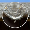 P.A.C. Asbestos Surveys