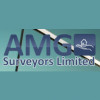 A M G Surveyors