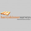 Harry Skinner Surveys