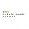 Ambler Group Surveys